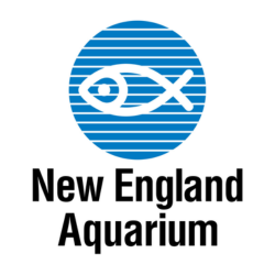 New England Aquarium